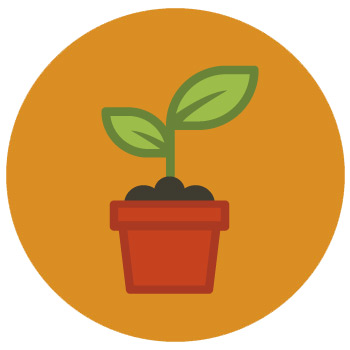 cycle2 plantes