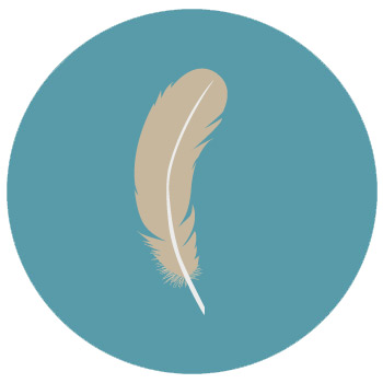 cycle2 plumes